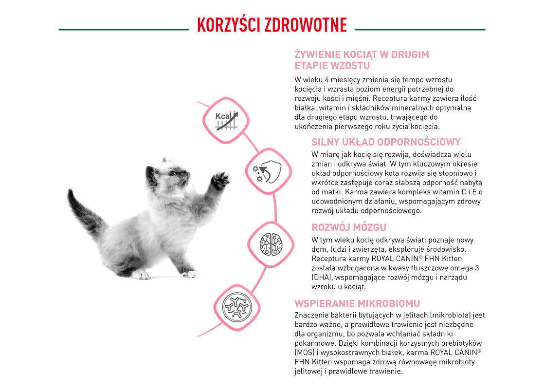 ROYAL CANIN Kitten 10 kg